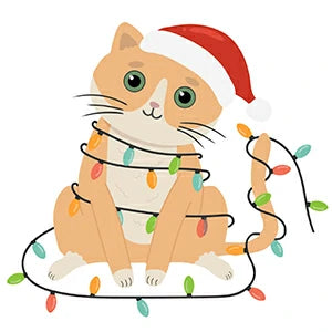 Gifts for Cat Lovers